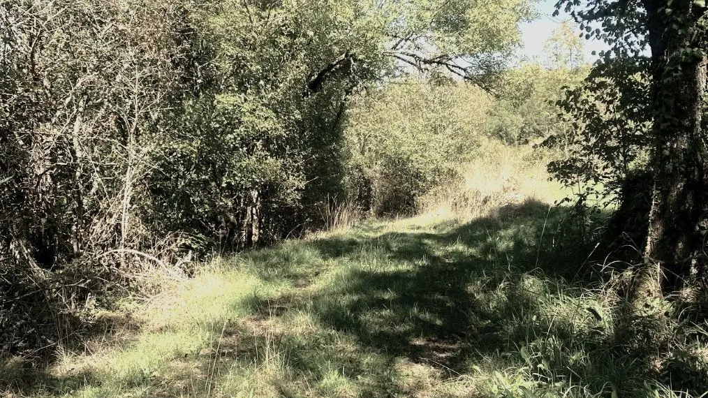 BOUZIC-Boucle Vivinières-Chemin