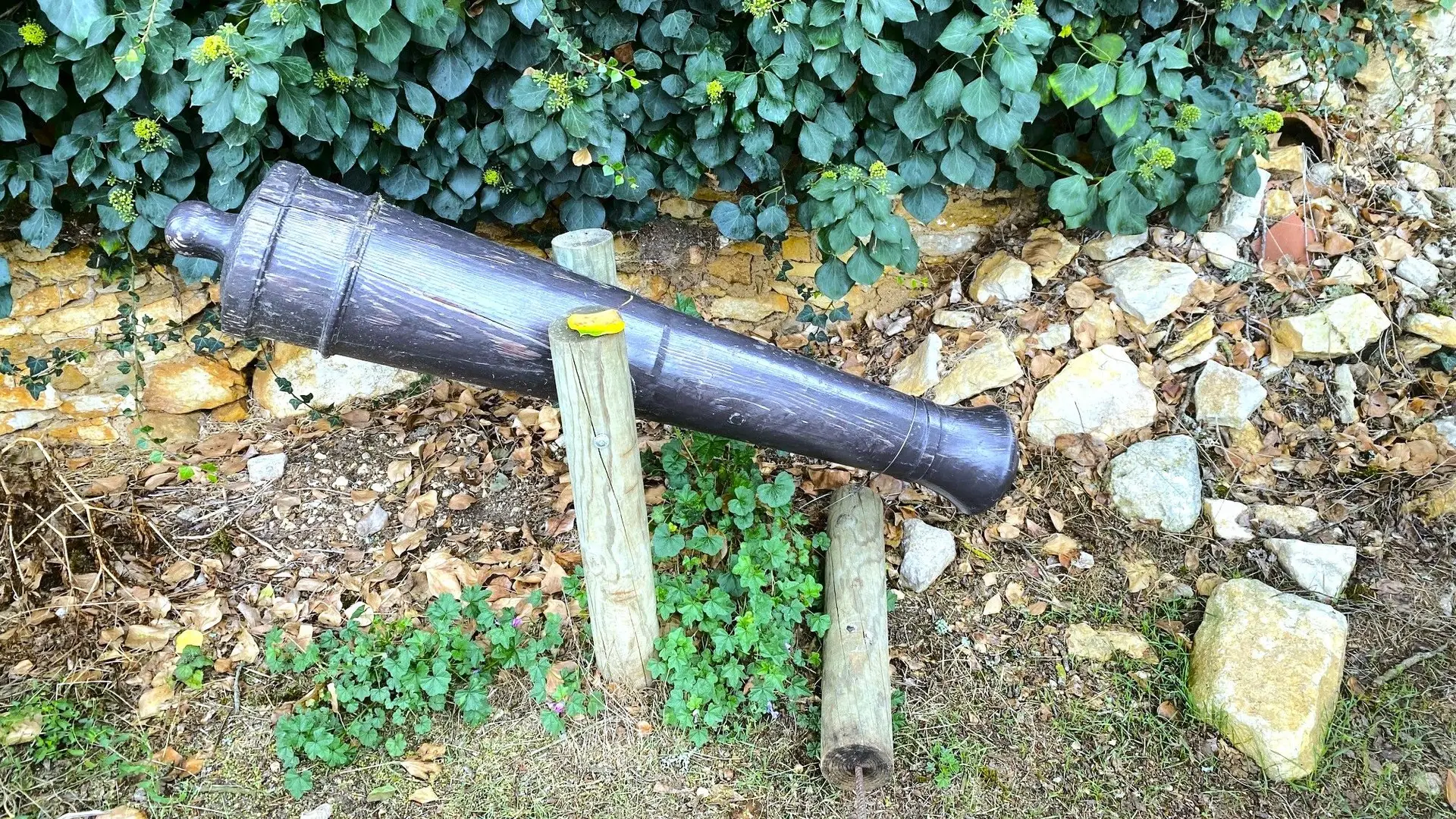 BROUCHAUD-Boucle des Genevriers-Canon