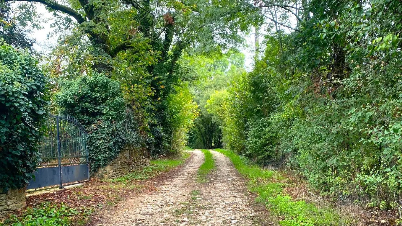BROUCHAUD-Boucle des Genevriers-Chemin