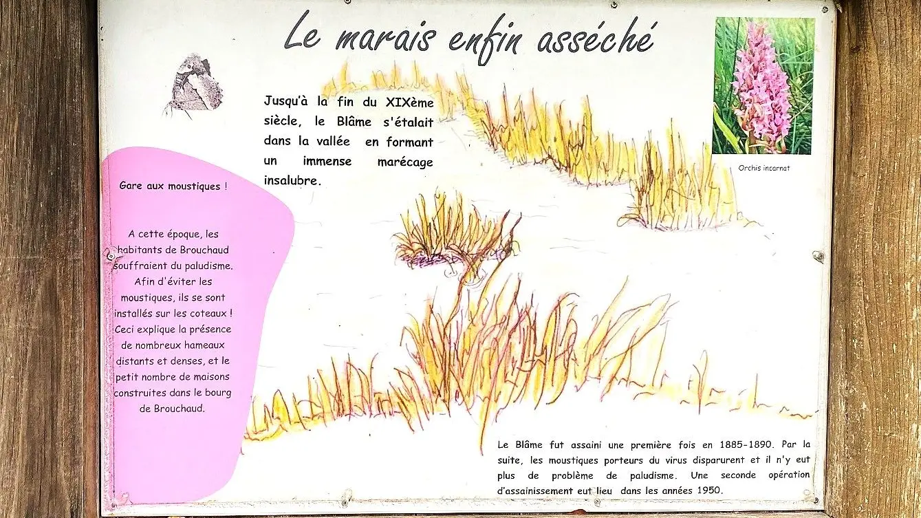 BROUCHAUD-Boucle des Genevriers-Panneau d'ino Marais