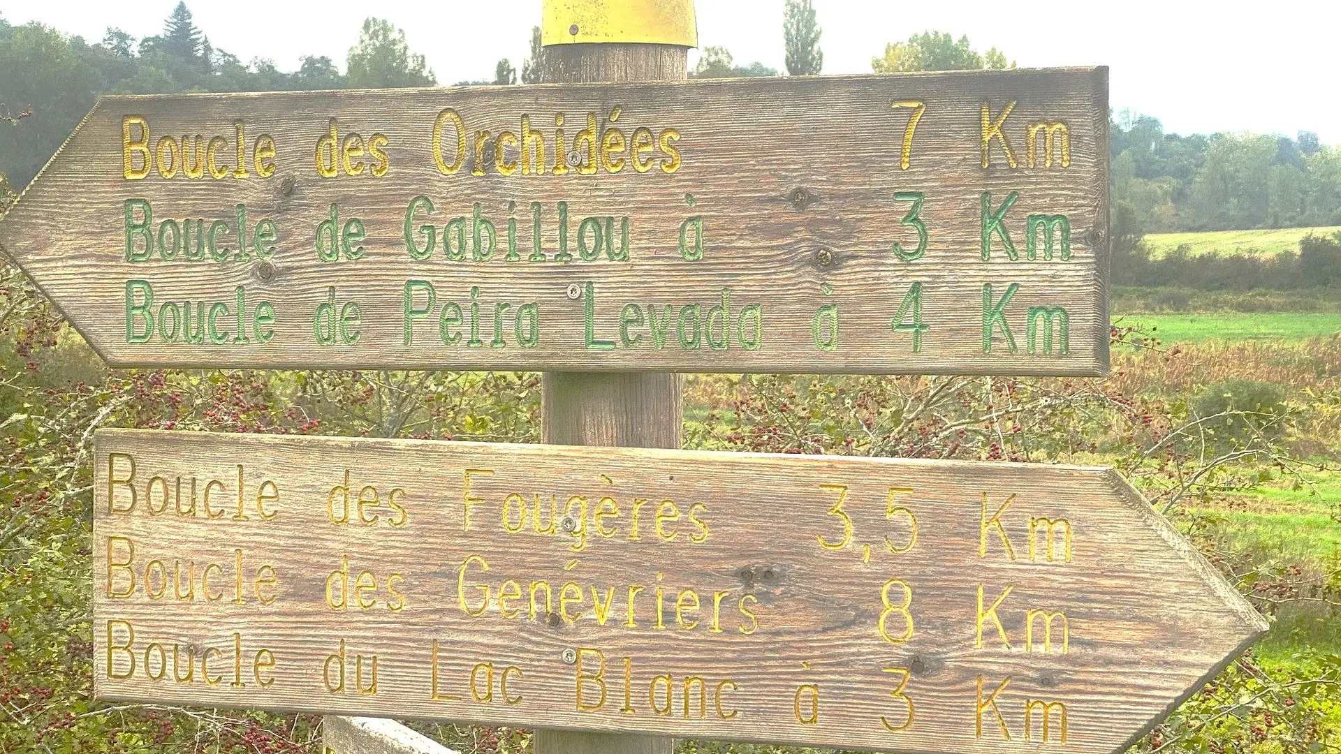 BROUCHAUD-Boucle des Genevriers-Signalétique 2