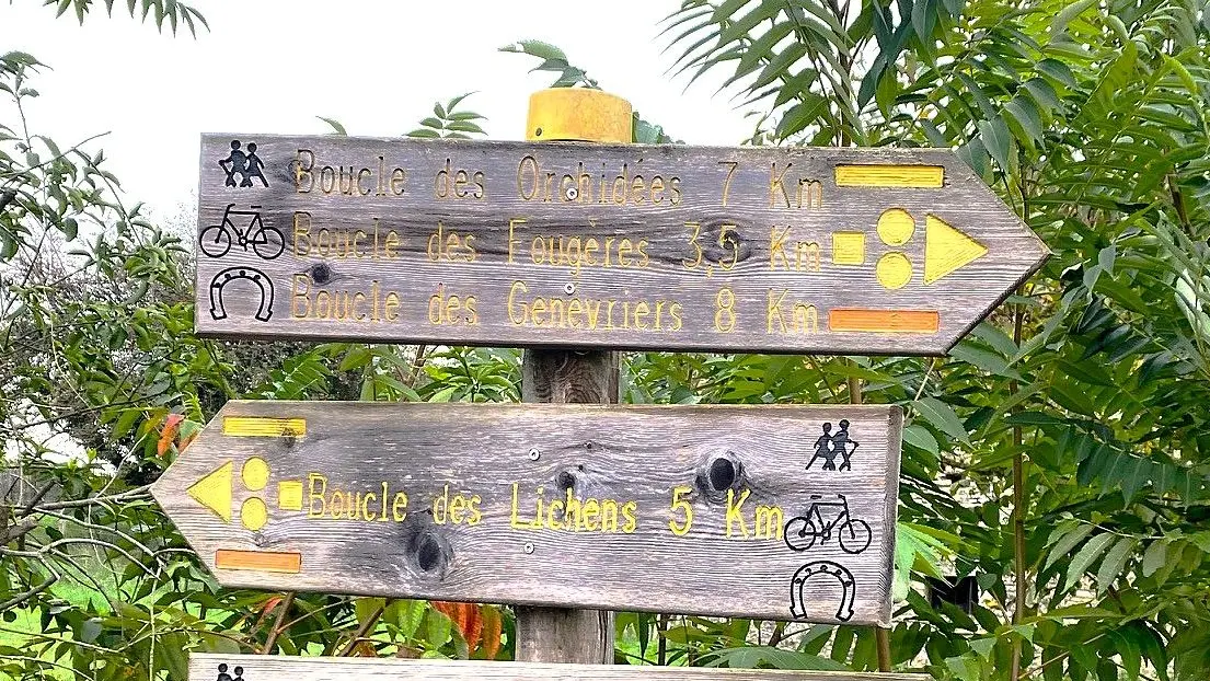 BROUCHAUD-Boucle des Lichens-Signalétique