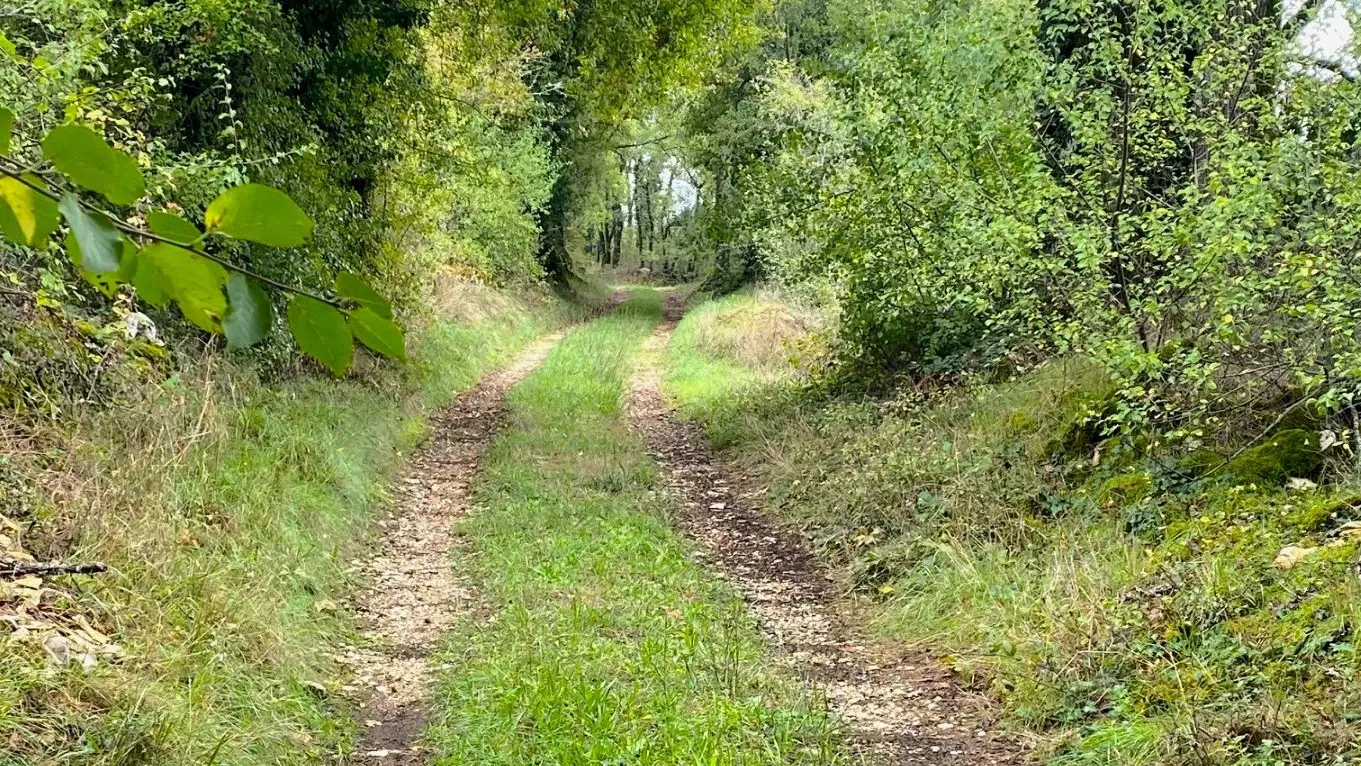 BROUCHAUD-Boucle des Orchidées-Chemin 2