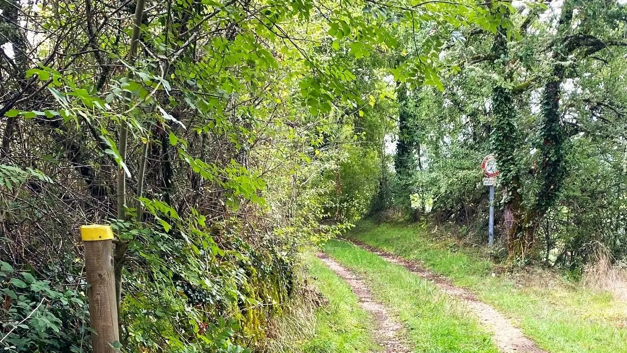 BROUCHAUD-Boucle des Orchidées-Chemin