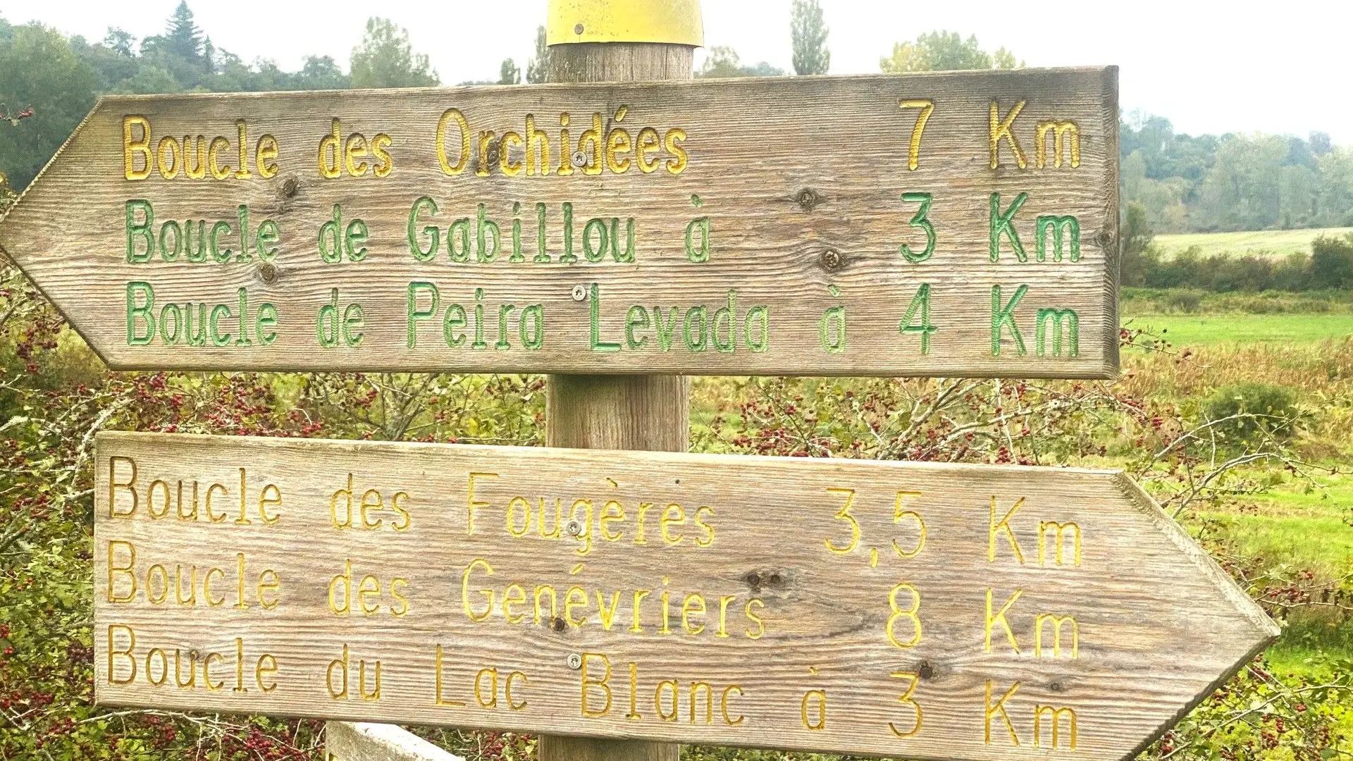 BROUCHAUD-Boucle des Orchidées-Signalétique