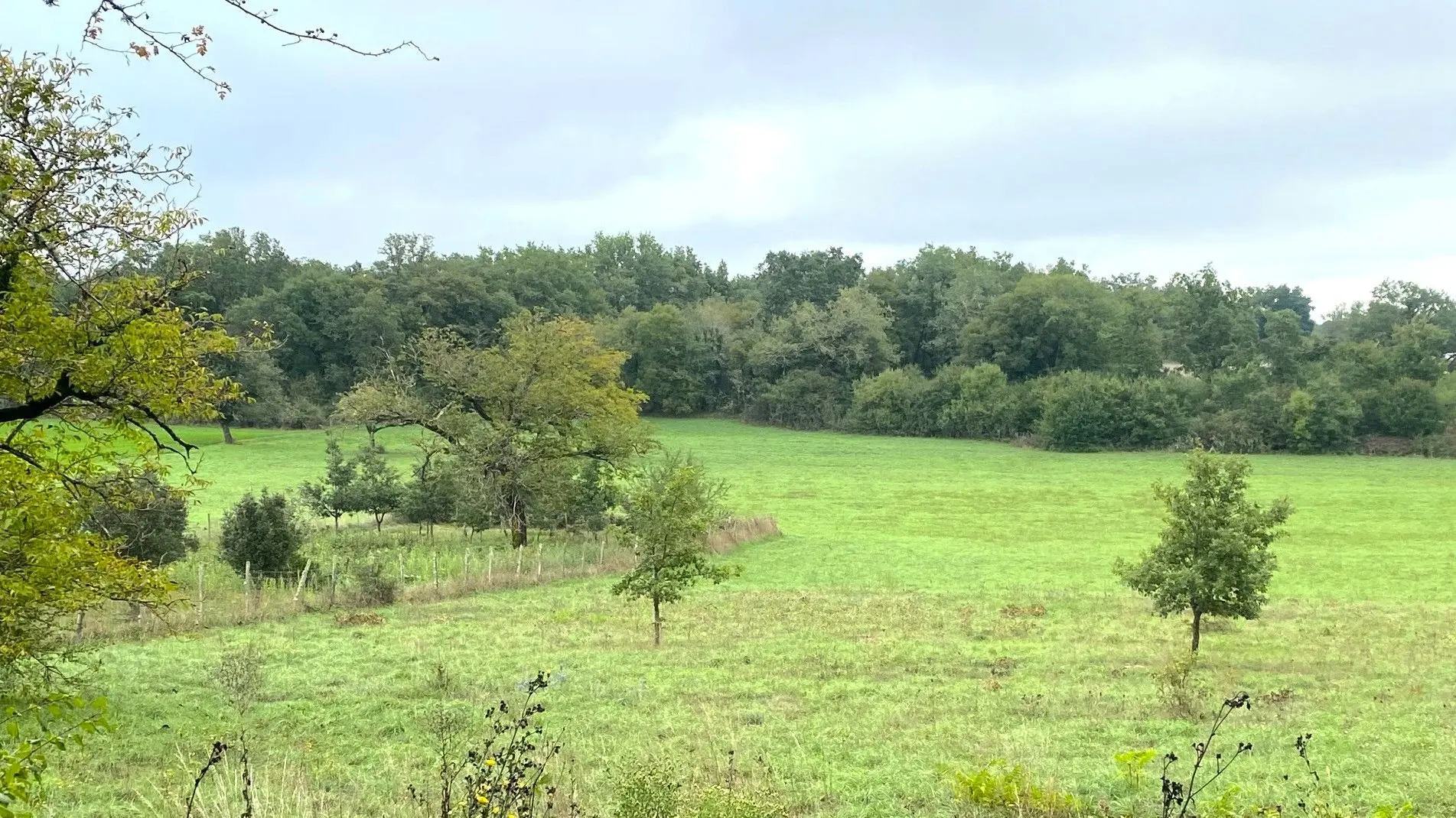 BROUCHAUD-Boucle des Orchidées-Paysage