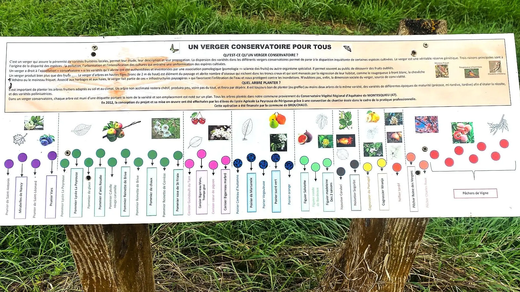 BROUCHAUD-Boucle des fougères-Panneau d'info Verger