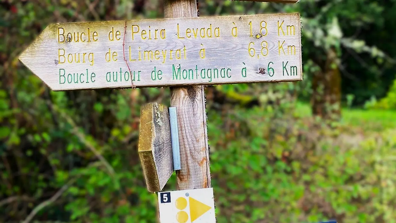 BROUCHAUD-Boucle des fougères-Signalétique