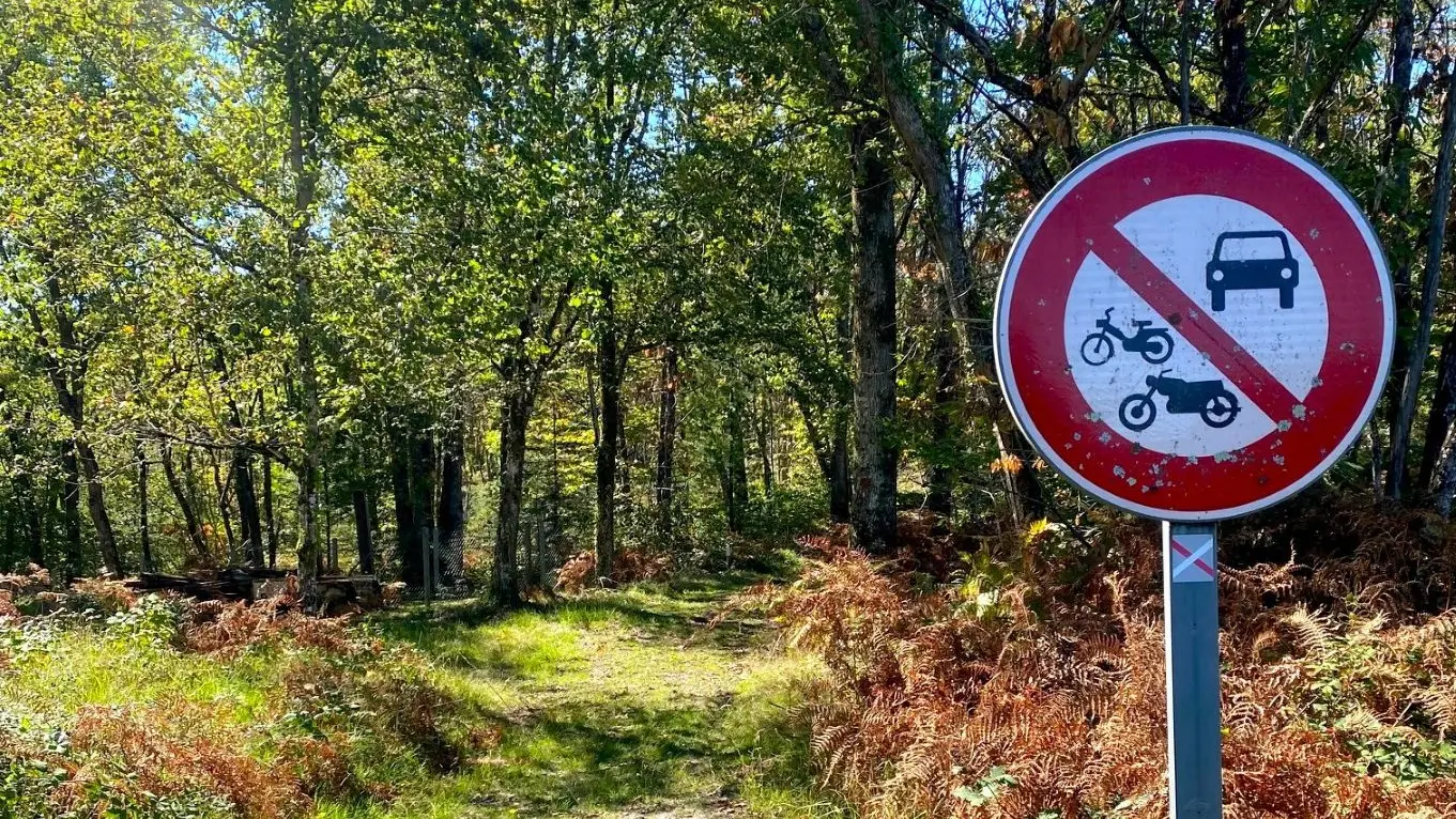 BUSSAC-Boucle de Bussac-Chemin 2