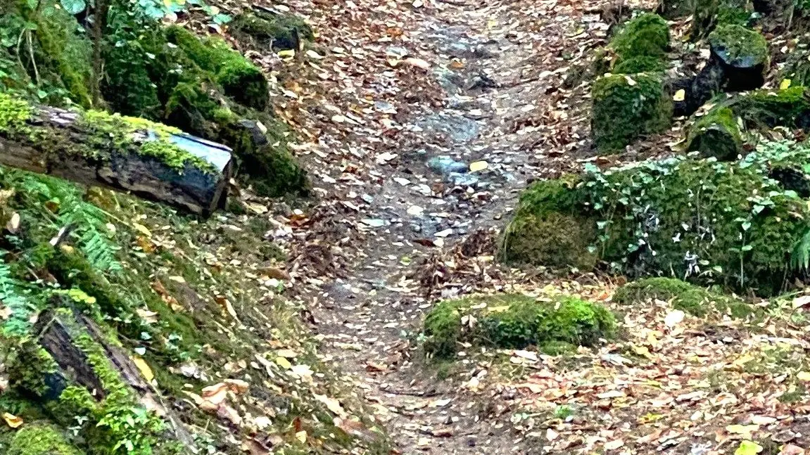 BUSSEROLLES-Boucle du Buisson-Chemin