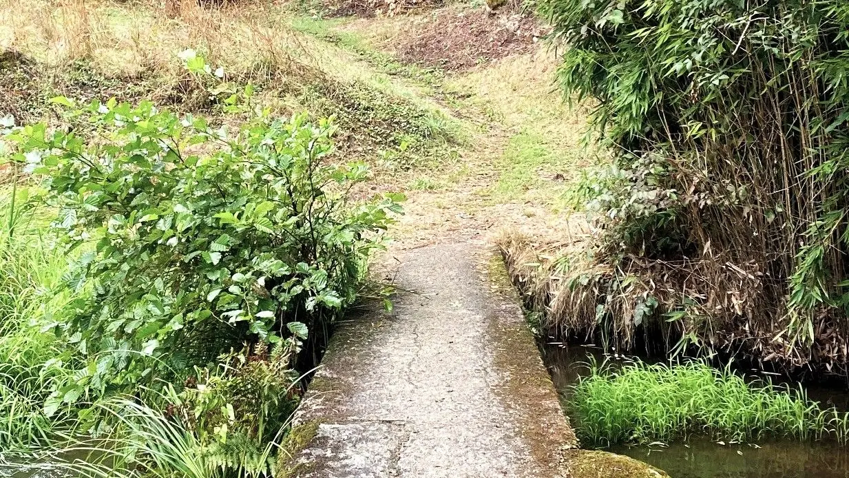 BUSSEROLLES-Boucle du Buisson-Passerelle