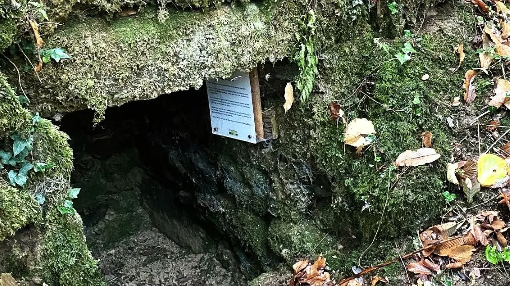 BUSSEROLLES-Boucle du Buisson-Site