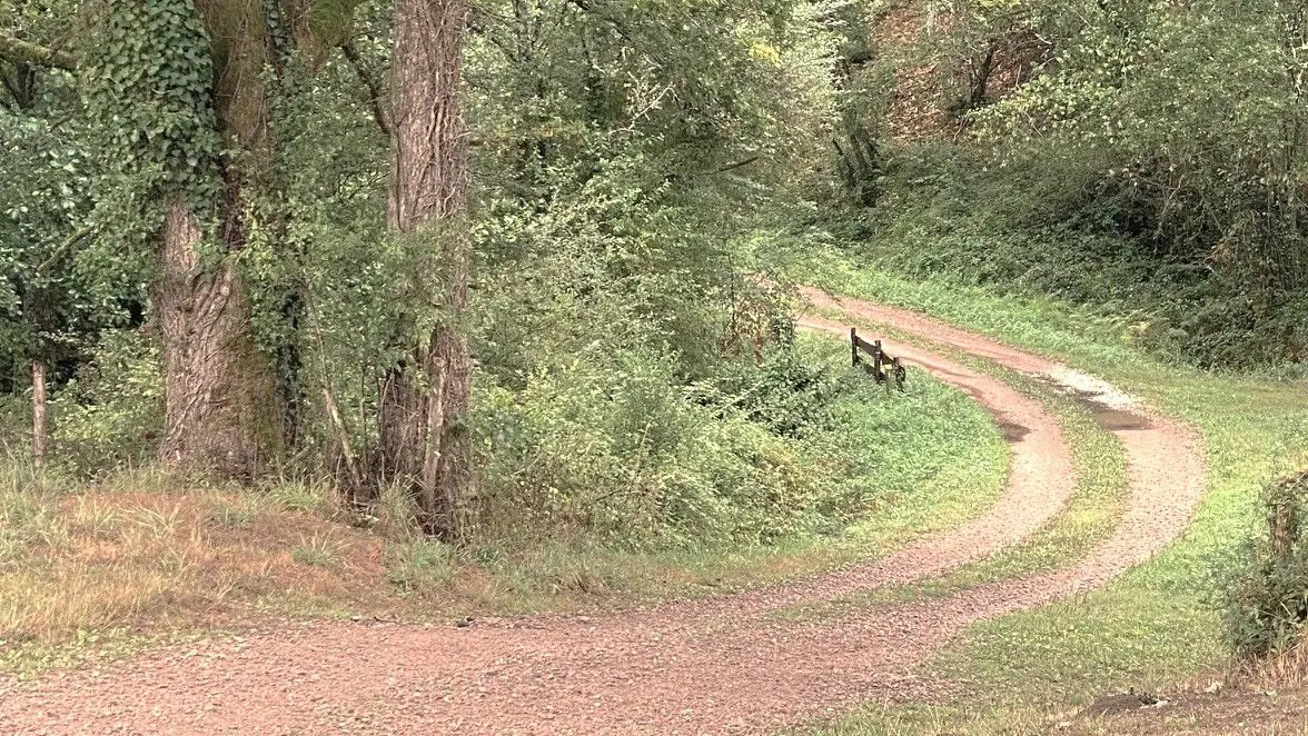 BUSSIERE-BADIL-Boucle du Banaret-Chemin