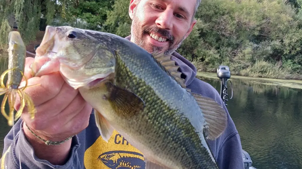 Black Bass Dordogne