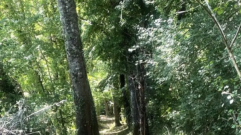 Blis et Born-Boucle des Eperliches-Chemin