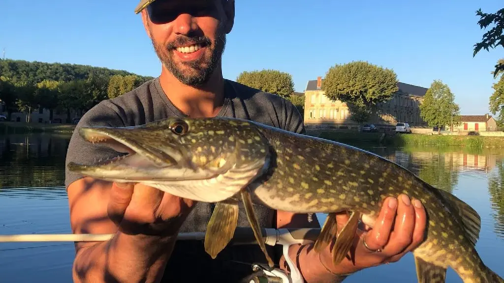 Brochet Anim