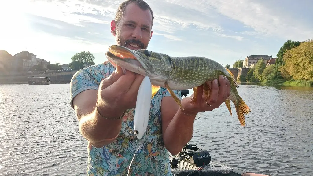 Brochet Bergerac