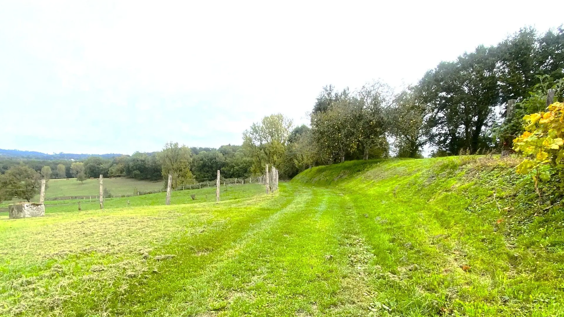 CANTILLAC-Boucle de Cantillac-Chemin 2