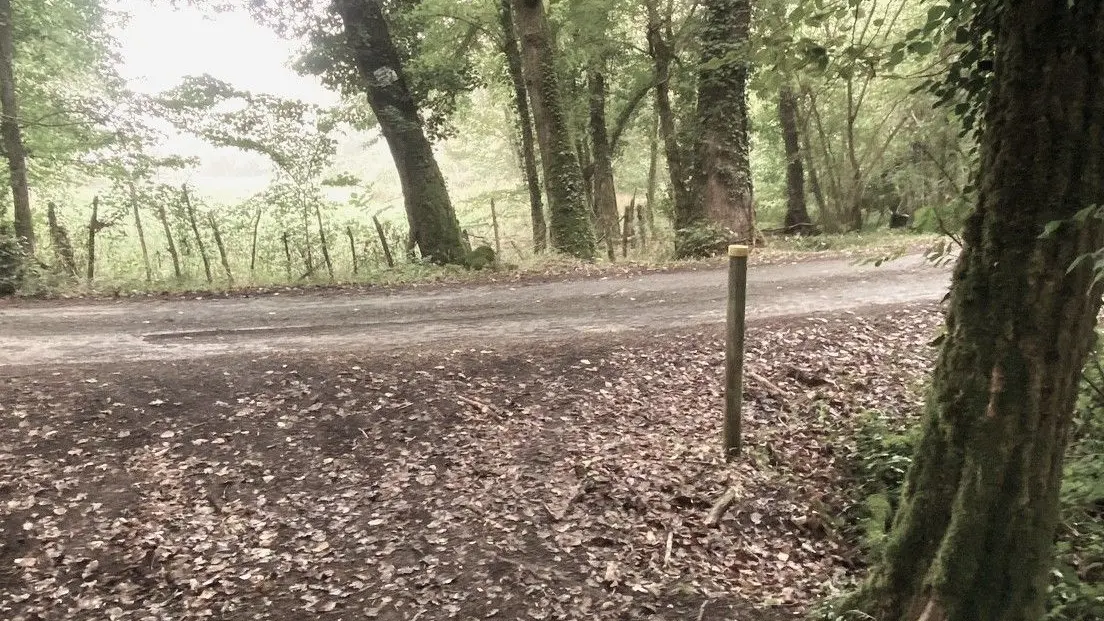 CASTELS-Boucle de Castels-Chemin-Poteau