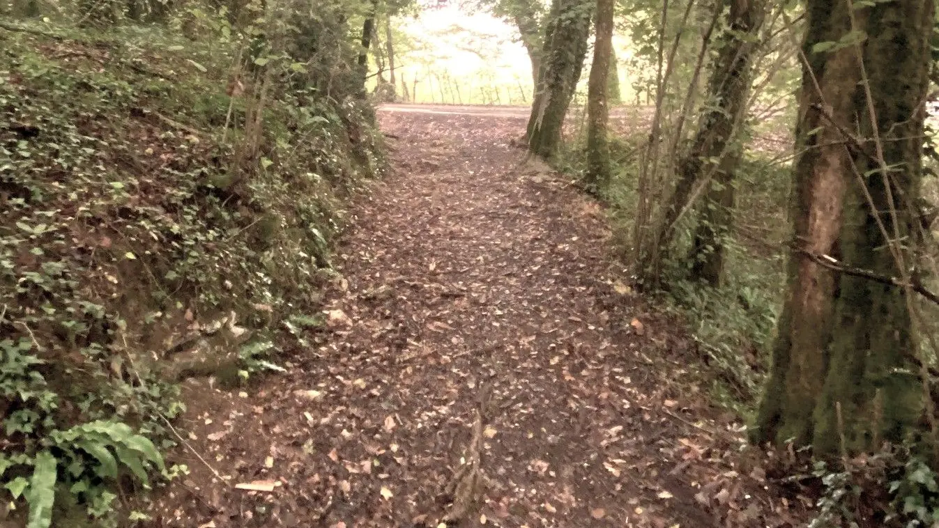 CASTELS-Boucle de Castels-Chemin