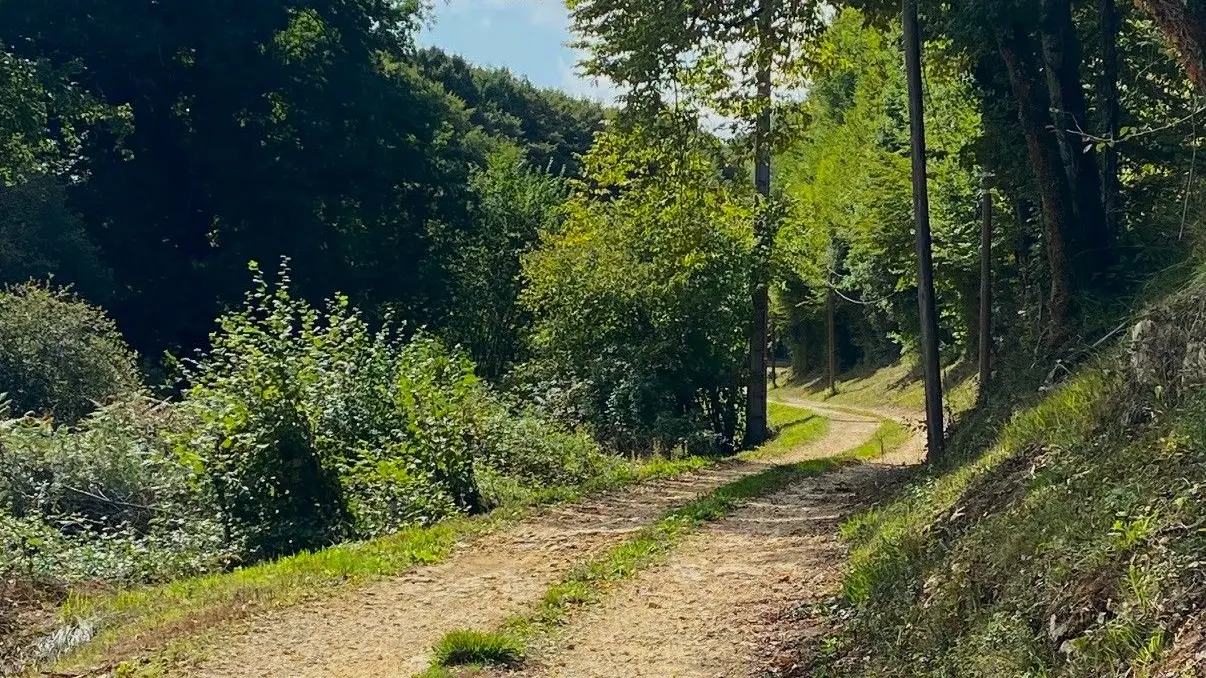 CASTELS-Boucle des Fontaines-Chemin