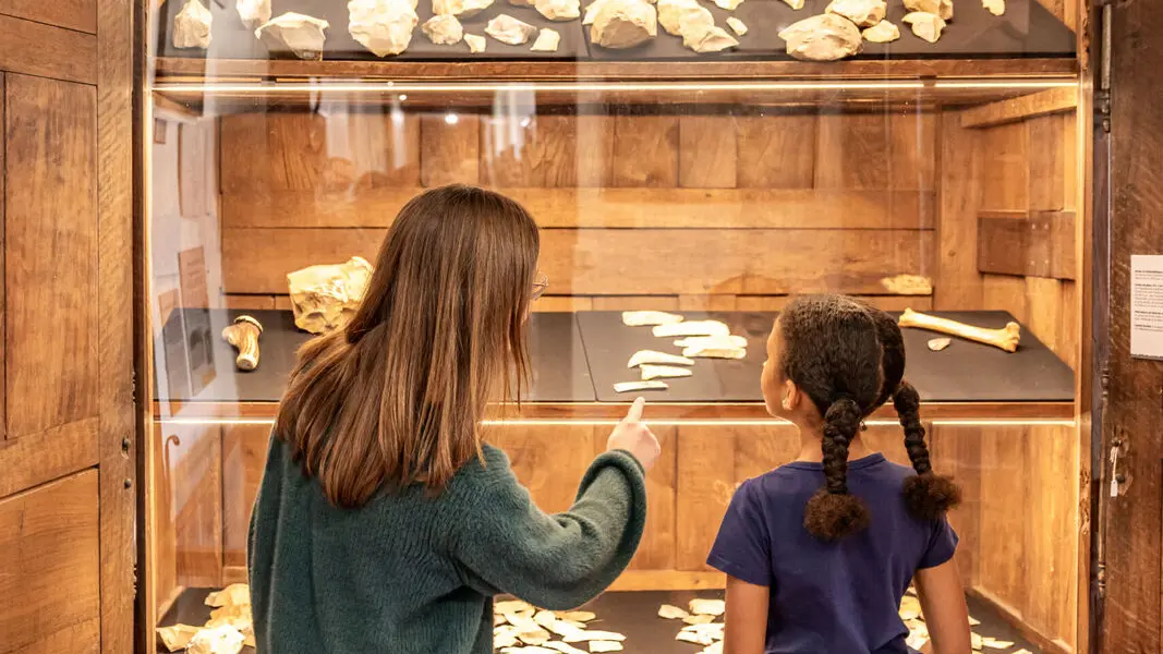 CDT 24 - Musée André Voulgre - Mussidan