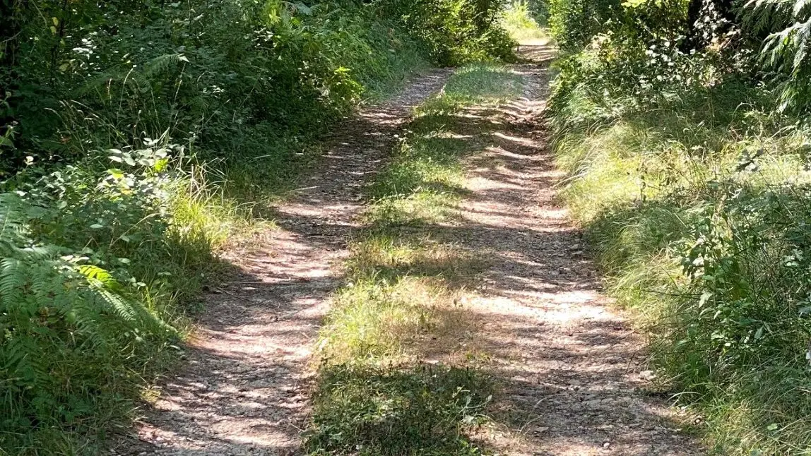 CENDRIEUX-Boucle des Hauts du Vern-Chemin