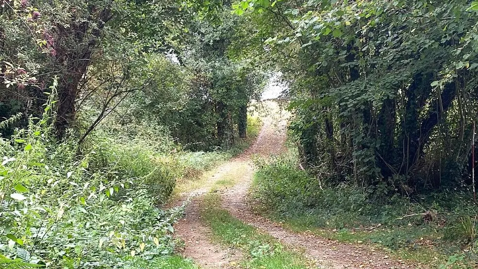 CHALAIS-Boucle des étangs-Chemin