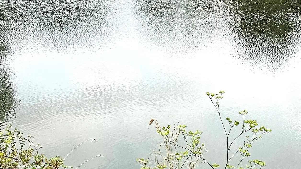 CHALAIS-Boucle des étangs-Etang