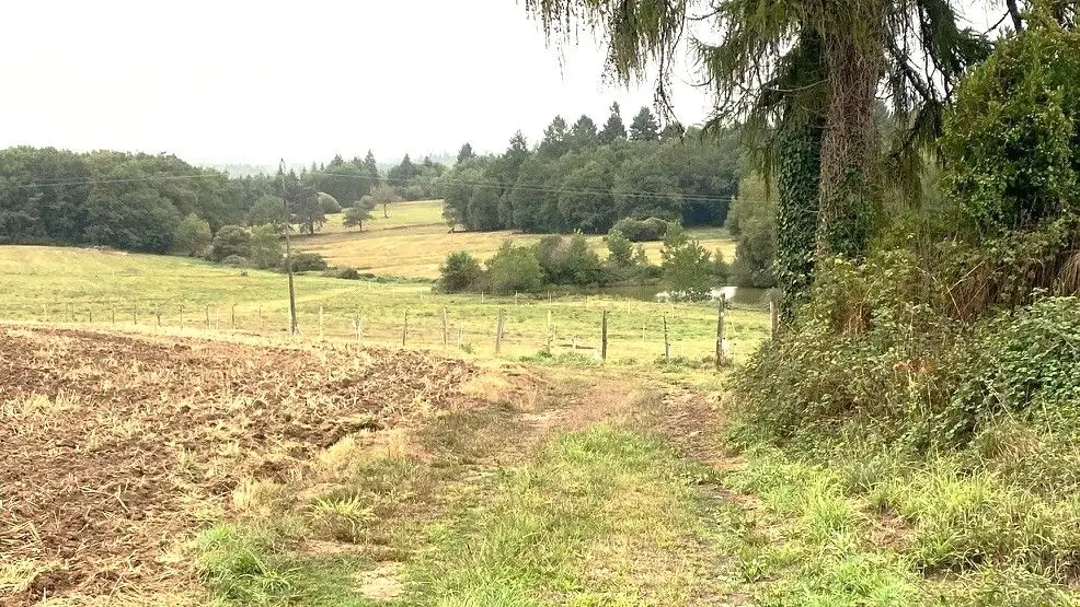 CHAMPNIERS-ET-REILHAC-Boucle de l'Albine-Chemin 2