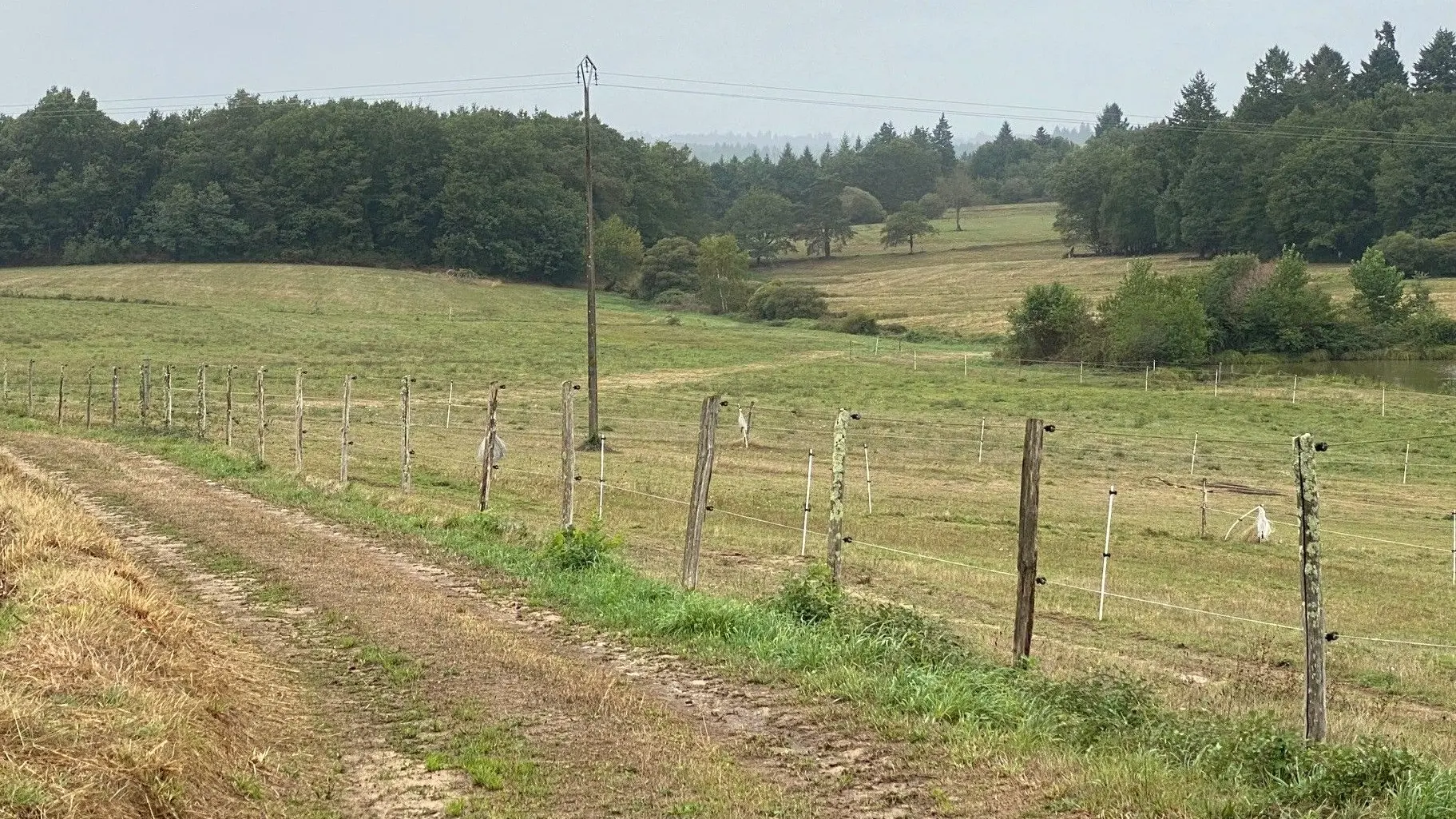 CHAMPNIERS-ET-REILHAC-Boucle de l'Albine-Chemin