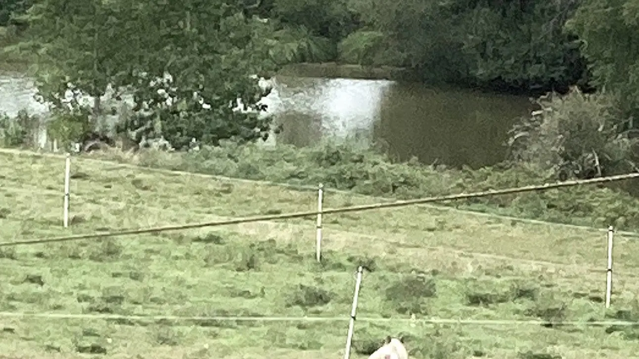 CHAMPNIERS-ET-REILHAC-Boucle de l'Albine-Cheval