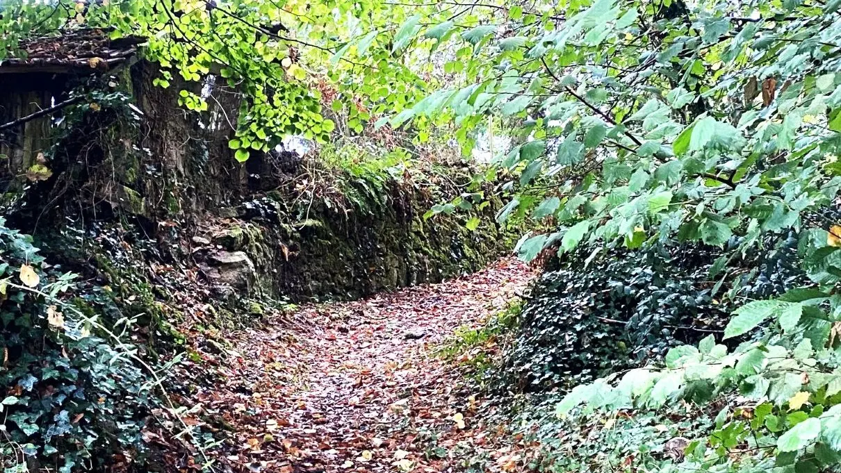 CHAMPNIERS-ET-REILHAC-Boucle de la Voie romaine-Chemin 2