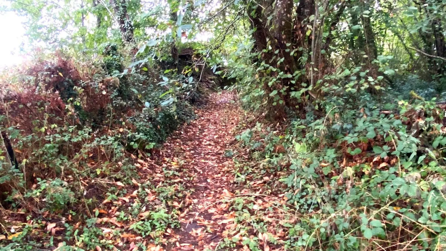 CHAMPNIERS-ET-REILHAC-Boucle de la Voie romaine-Chemin 3