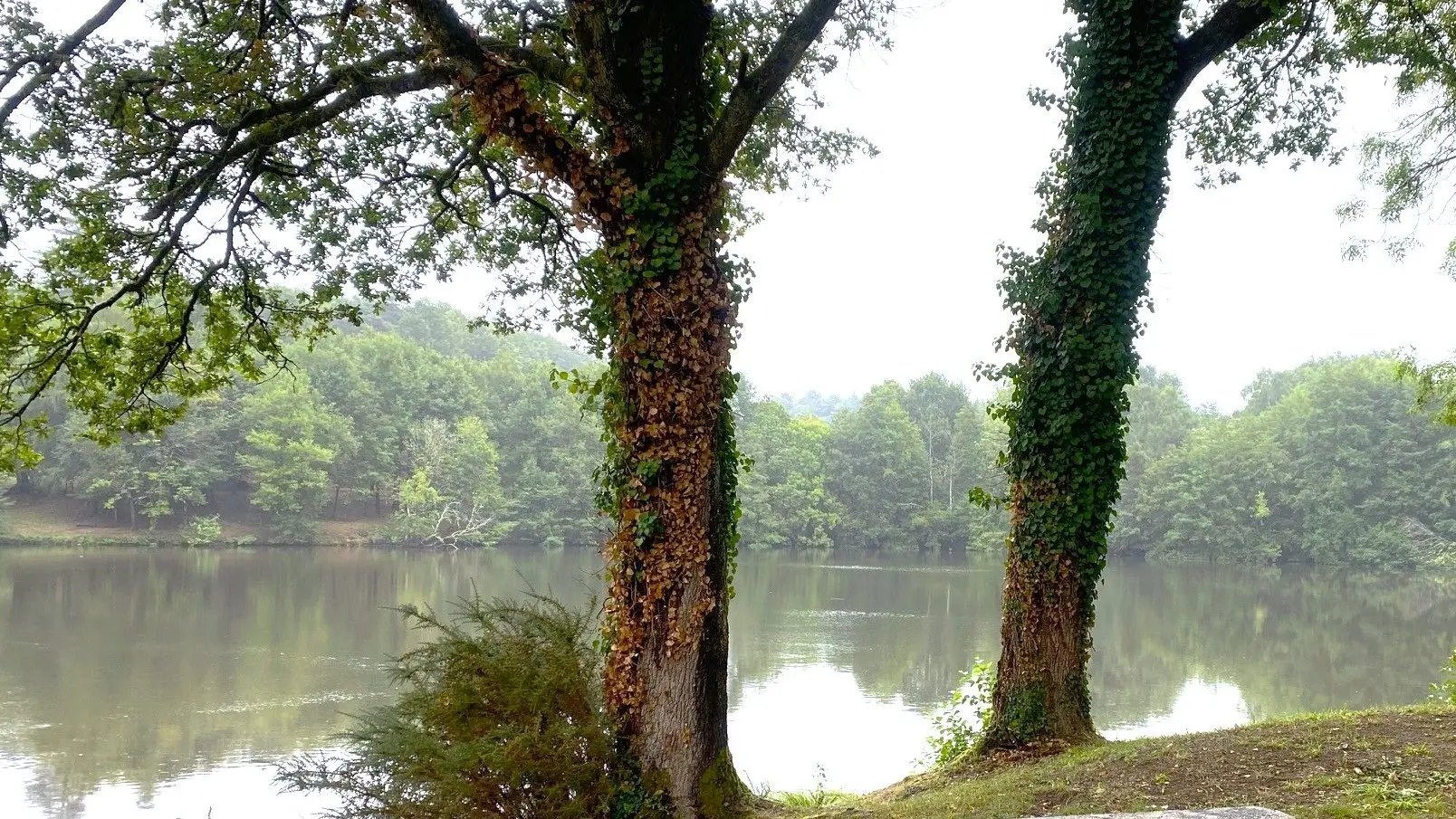 CHAMPNIERS-ET-REILHAC-Boucle de la Voie romaine-Plan d'eau 2