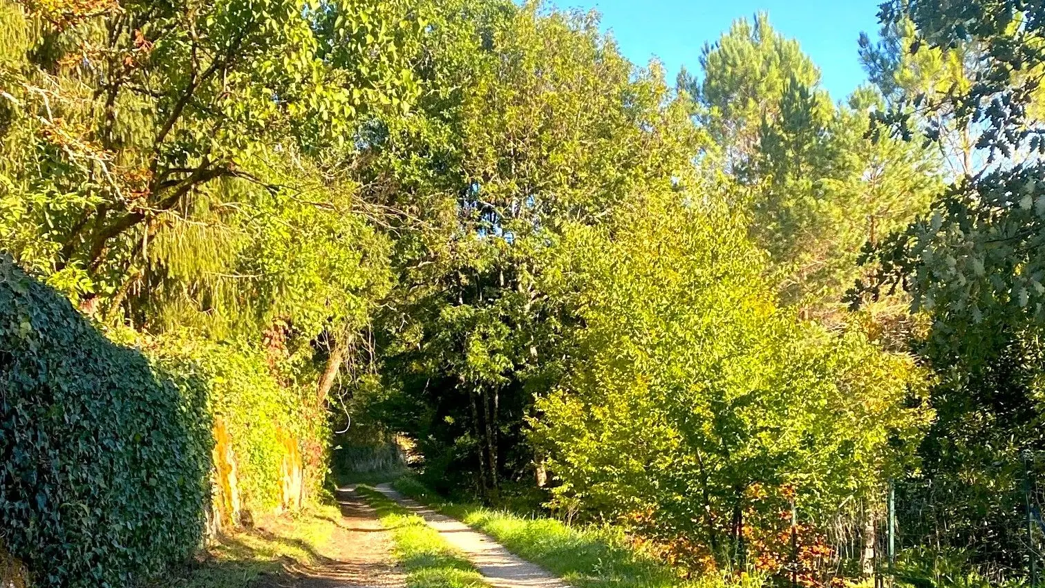CHAMPAGNAC-DE-BELAIR-Boucle Dronne et Trincou-Chemin