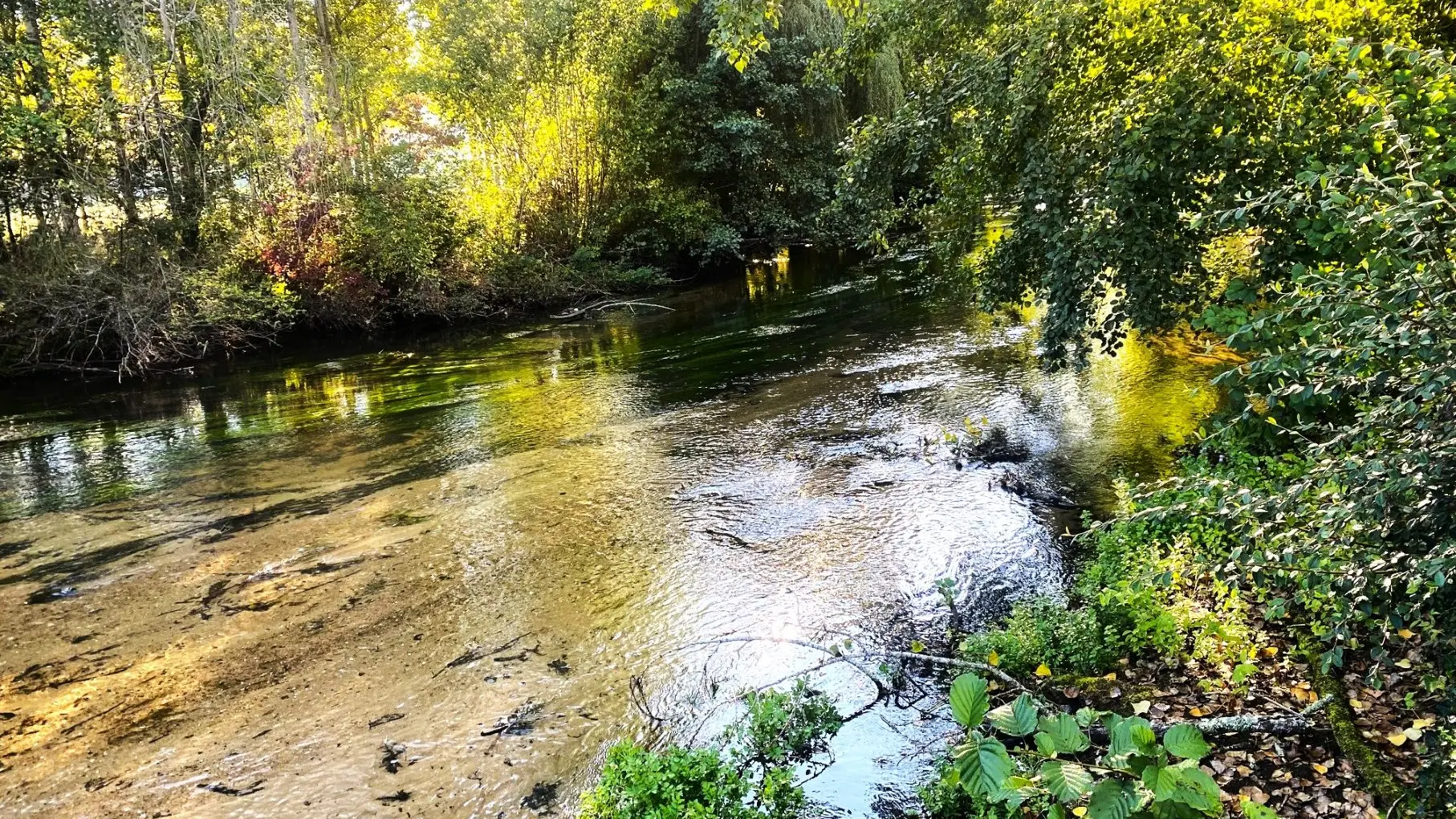 CHAMPAGNAC-DE-BELAIR-Boucle Dronne et Trincou-Rivière 2
