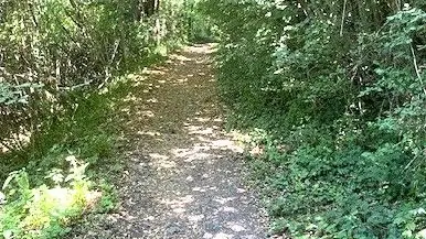 CHAMPCEVINEL-Boucle de Chantecoucou-Chemin