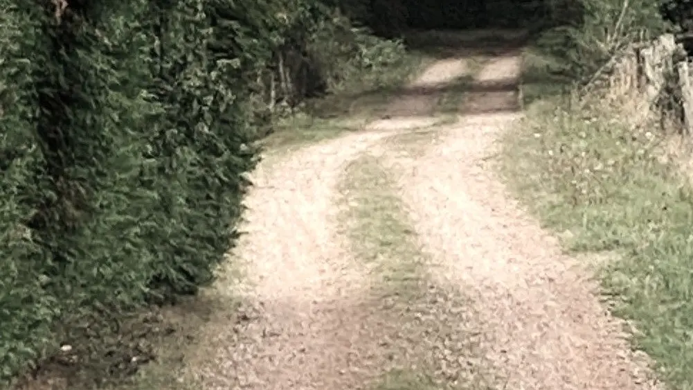 CHAMPS-ROMAIN-Boucle du Tacot-Chemin