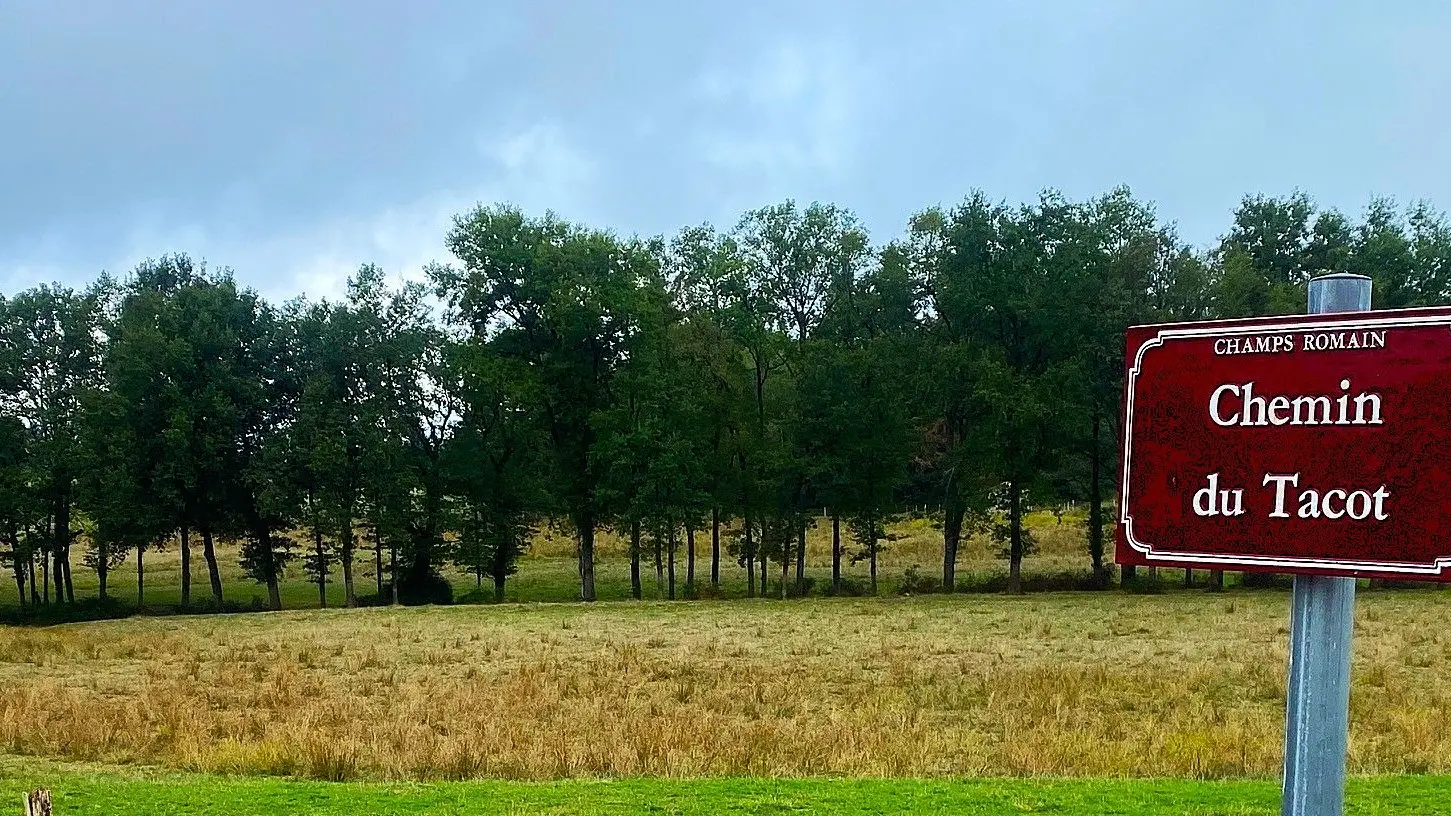 CHAMPS-ROMAIN-Boucle du Tacot-Panneau