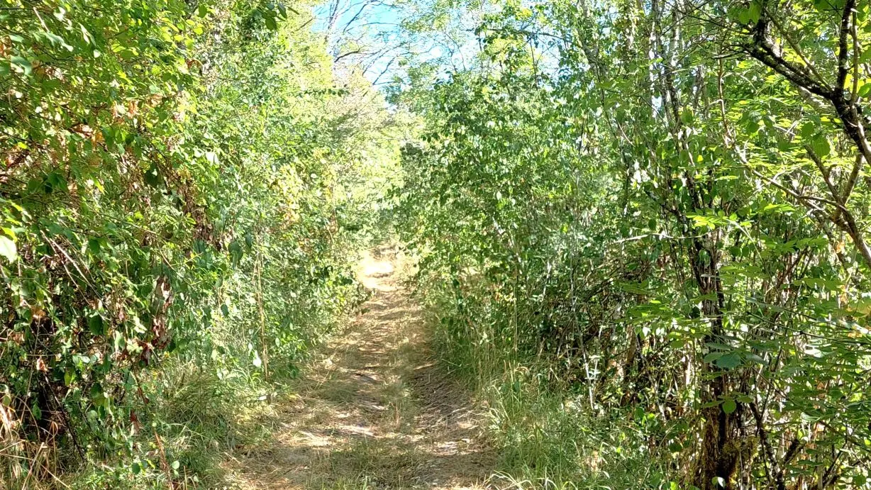 CHANCELADE-Boucle de la Beauronne-Chemin