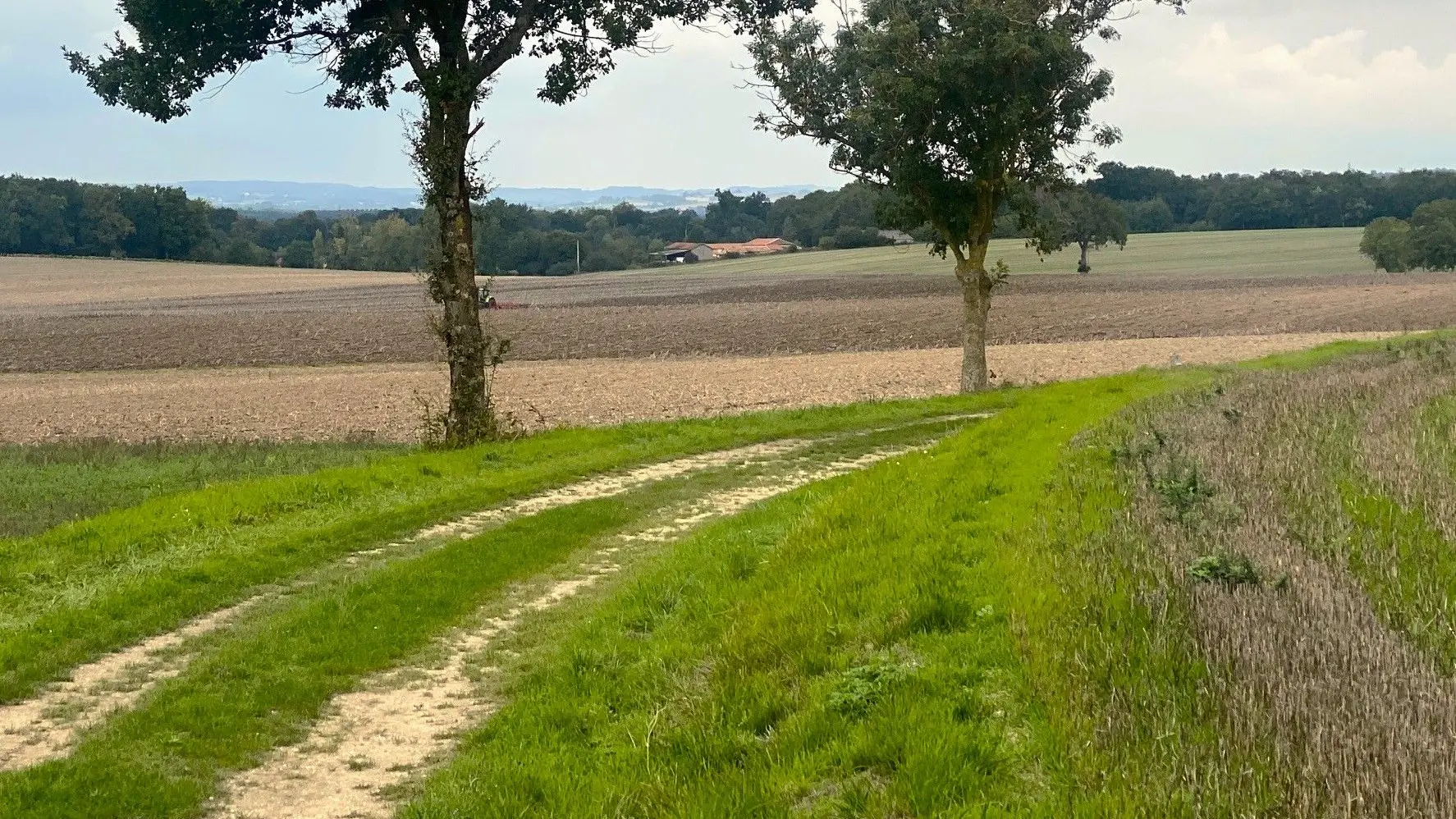 COMBERANCHE-ET-EPELUCHE-Boucle de Comberanche-Chemin