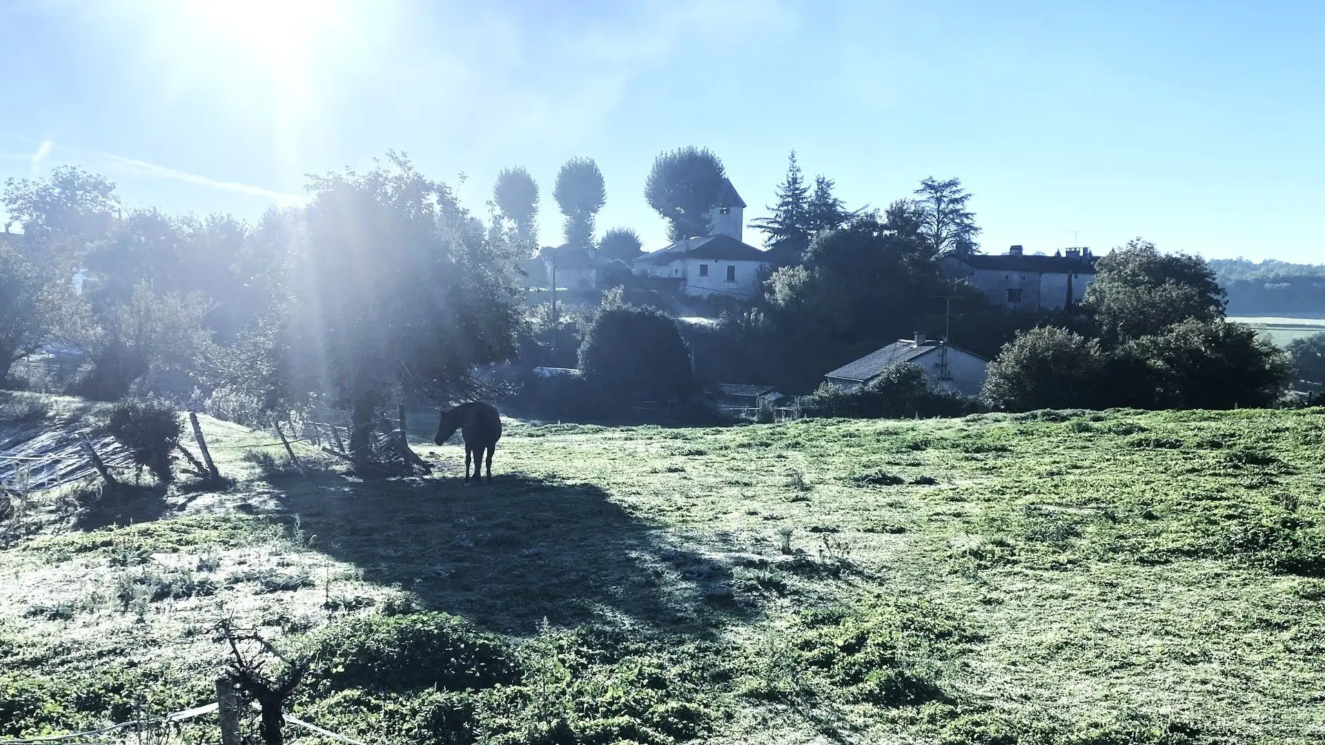 CONDAT-SUR-TRINCOU-Boucle Dronne et Trincou-Cheval-Village
