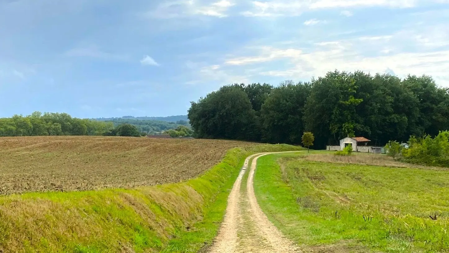 CONNEZAC-Boucle de Connezac-Chemin