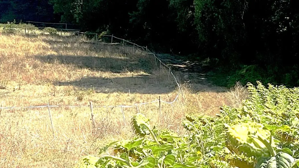CORNILLE-Boucle du pigeonnier-Chemin
