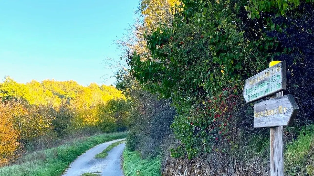 COULAURES-Boucle de la forêt-Chemin-Signalétique