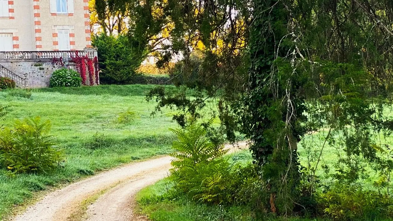 COULAURES-Boucle des Causses truffiers-Chemin 2