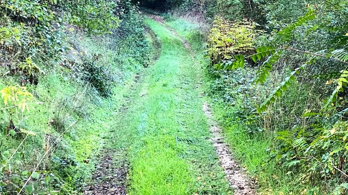 COULAURES-Boucle des Causses truffiers-Chemin