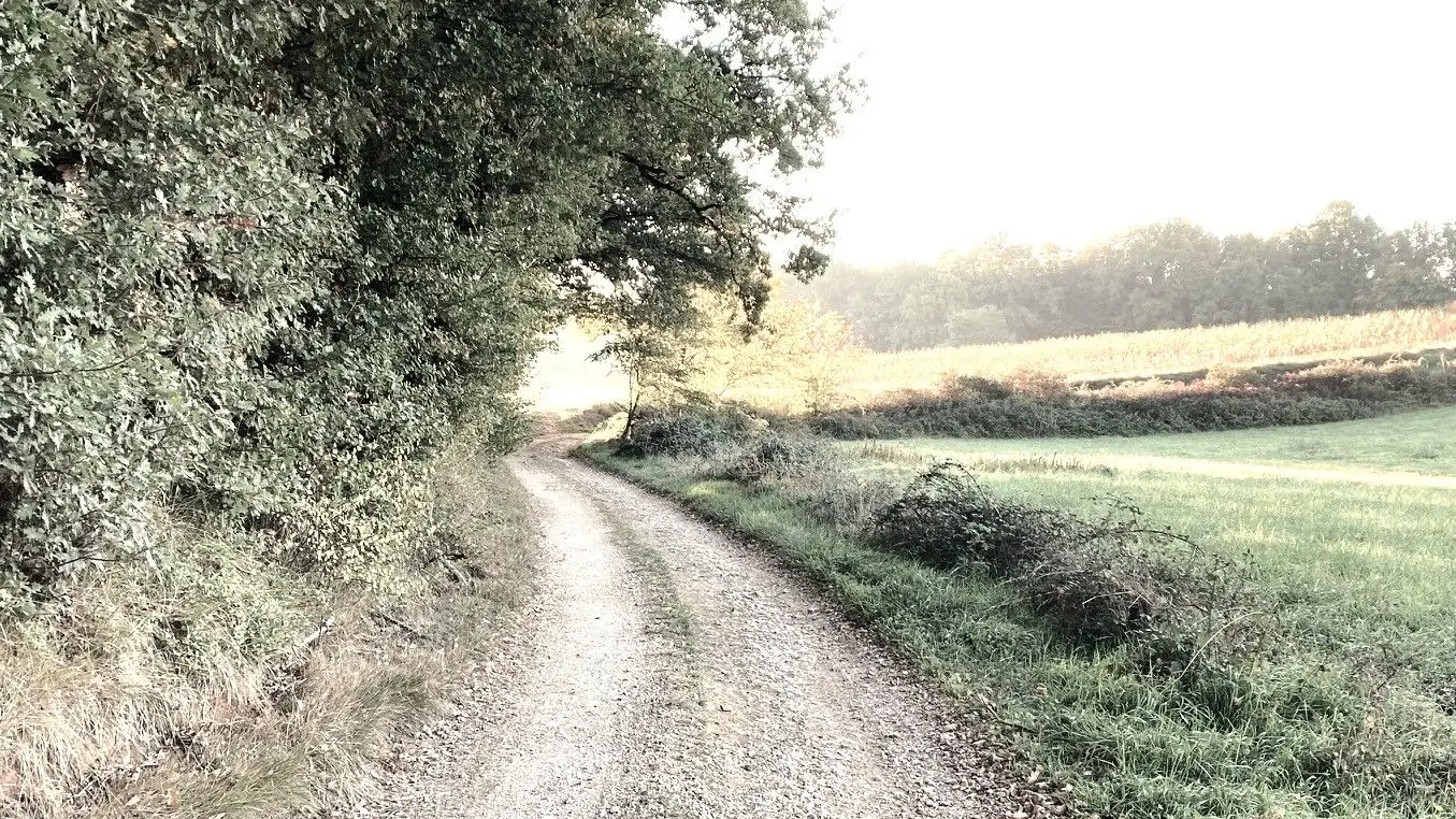 COULAURES-Boucle des Chateaux-Chemin