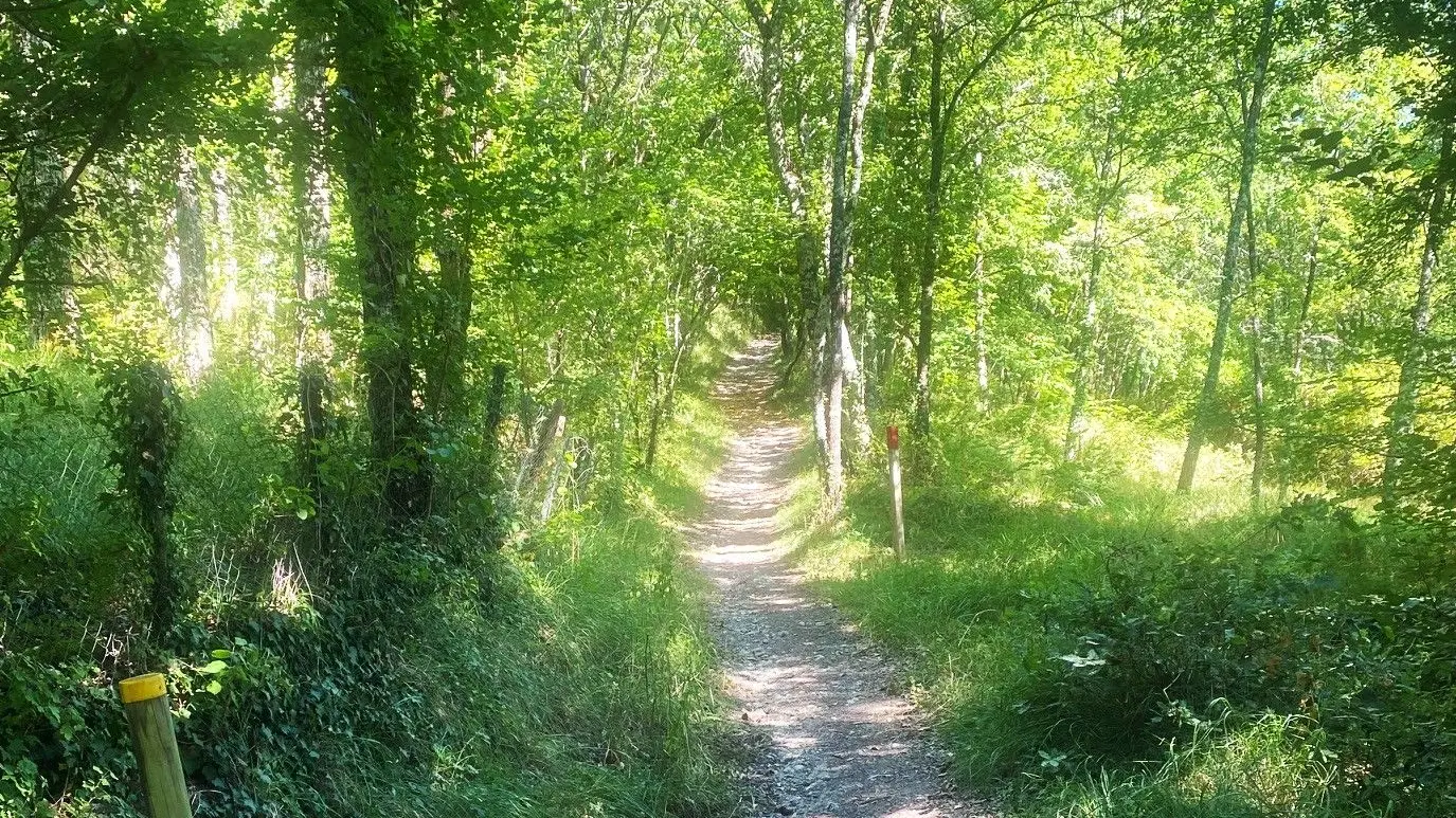 COURSAC-Boucle des Bordes d'Antan-Chemin